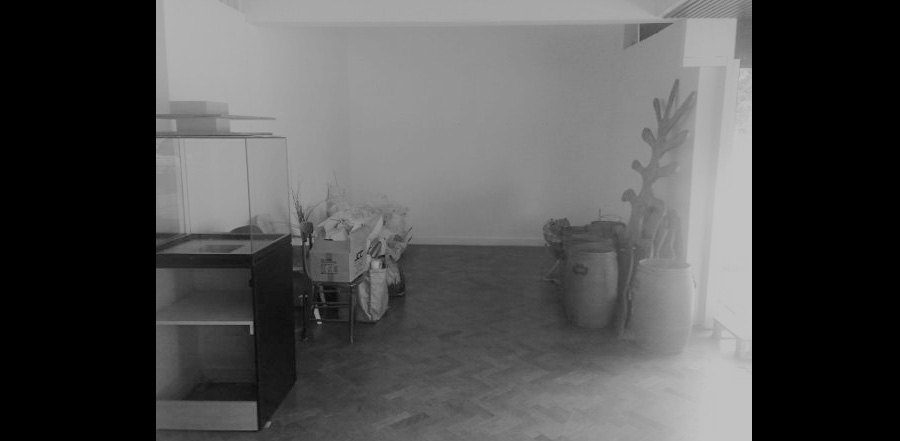 digihub_web